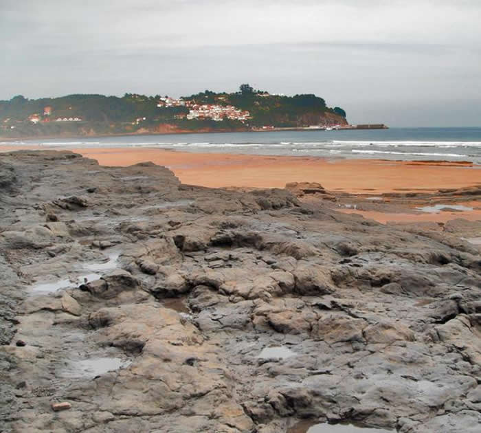 西班牙阿斯图里阿斯恐龙海岸的恐龙足迹