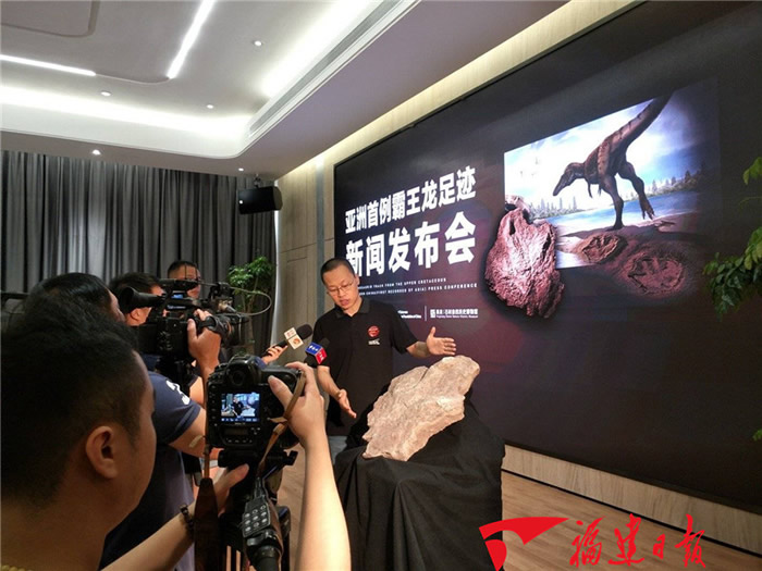 江西赣州发现亚洲首例霸王龙足迹 化石长达58厘米