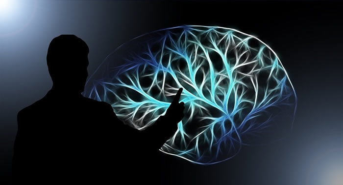 科学家讲述不同工作对大脑的影响