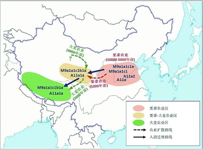 中国北方粟黍农业人群向青藏高原的迁徙模式图