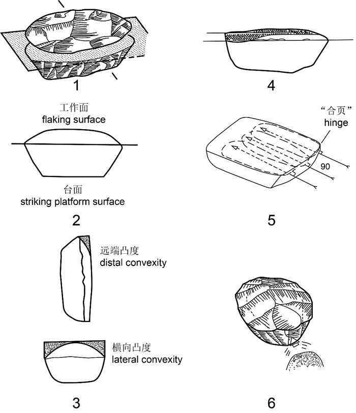 定义勒瓦娄哇技术的六项技术标准（修改自Boёda，1995）