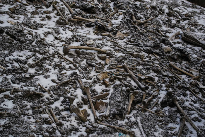 科学家查明喜马拉雅山鲁普昆德湖中发现的数百具遗骸的来历