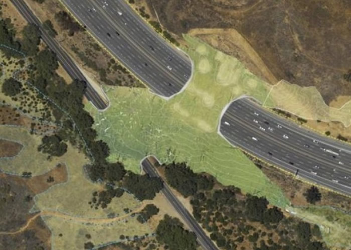 美国保育人士和交通部门计划建设一条野生动物架空走廊；图为预想图。