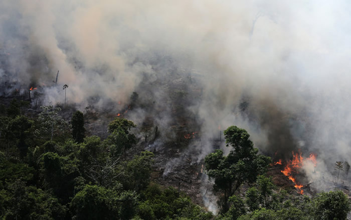 “地球之肺”南美洲亚马逊雨林野火狂烧 NASA公布卫星图