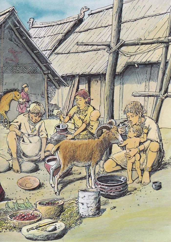 在德国新石器时代村落中发现的奶瓶，让我们得以深入一瞥古代人类如何照顾婴儿。 ILLUSTRATION BY CHRISTIAN BISIG, ARCHÄ