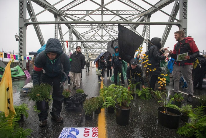 加拿大有人以盆栽占据大桥道路。