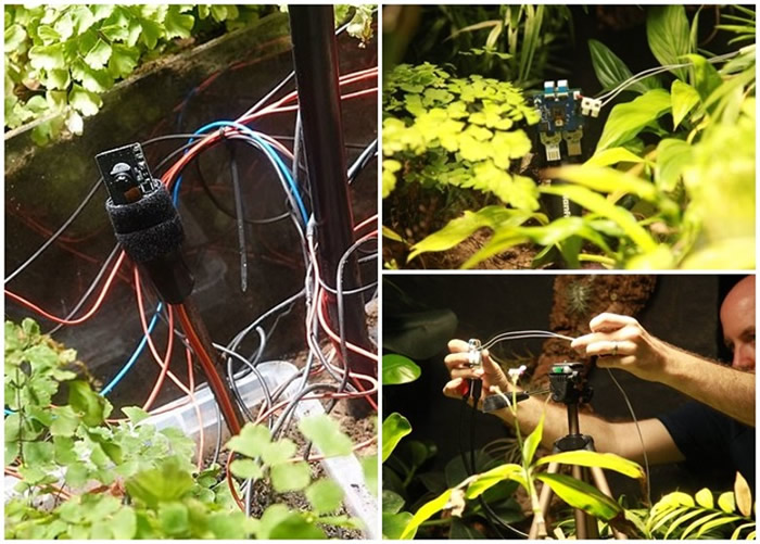 英国伦敦动物园引入新技术 植物自己发电玩自拍