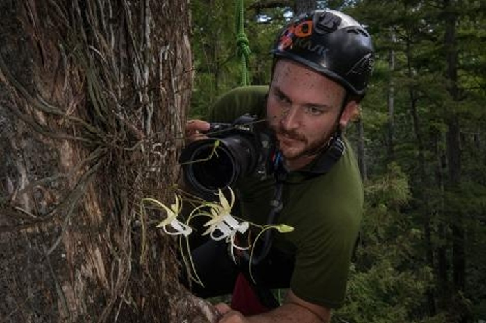 生物学家彼得． 胡利汉正在观察「超级鬼兰」，位置在一棵落羽松上15公尺的高处。 PHOTOGRAPH BY MAC STONE