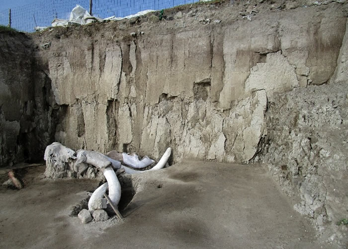 墨西哥城附近发现14000多年前用于猎捕猛犸象的人工陷阱
