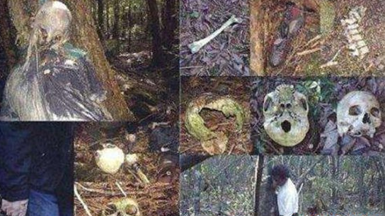 邪门！！日本自杀森林，走进自杀森林后指南针马上失灵，严重的压抑感让人感到绝望