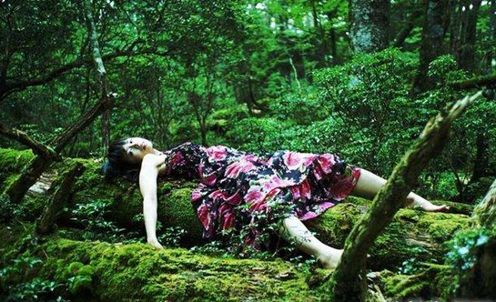 邪门！！日本自杀森林，走进自杀森林后指南针马上失灵，严重的压抑感让人感到绝望