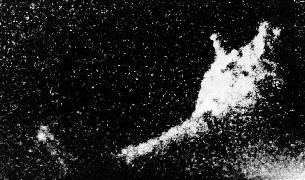 尼斯湖水怪照片曝光81周年：英国《镜报》盘点与这种神秘生物有关的20个有趣故事