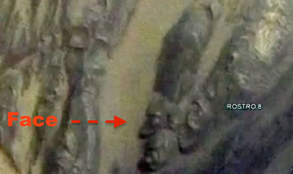 UFO目击网站（UFO Sightings Daily）：火星出现古埃及人脸岩石