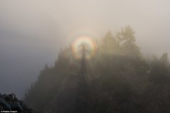游客在美国瑞尼尔山国家公园拍摄到“布罗肯幽灵”（Brocken Spectre）“佛光”