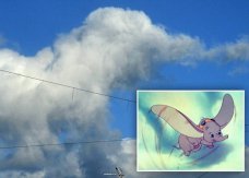 英国诺森伯兰郡天空惊现迪士尼卡通人物“小飞象”云团