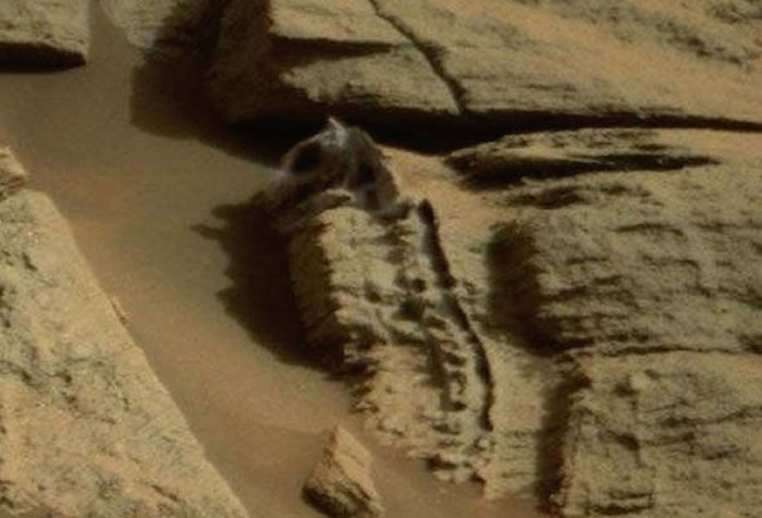 外星人搜寻者宣称在美国宇航局拍摄的火星照片上发现史前恐龙化石