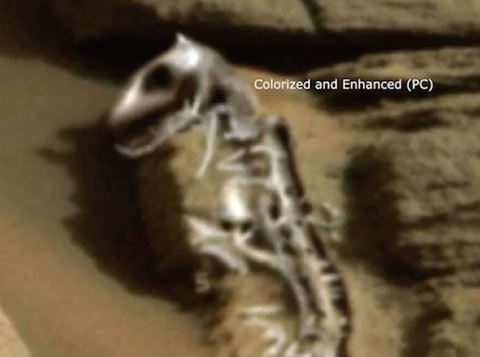 外星人搜寻者宣称在美国宇航局拍摄的火星照片上发现史前恐龙化石