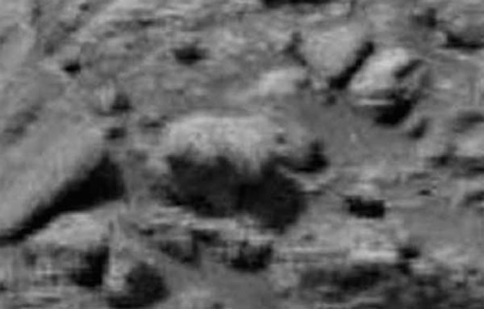 飞碟研究网站“UFO Daily Sightings”编辑称从火星表面照片中发现疑似北极熊