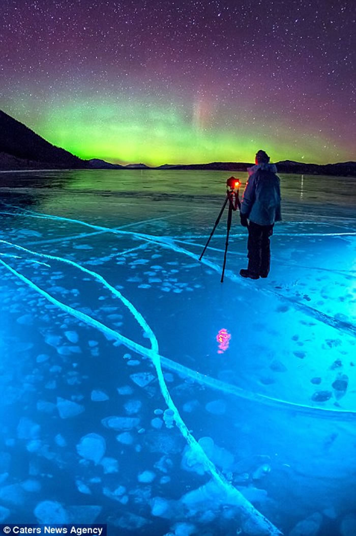 加拿大落基山脉亚伯拉罕湖北极光照射在冰气泡上很壮观