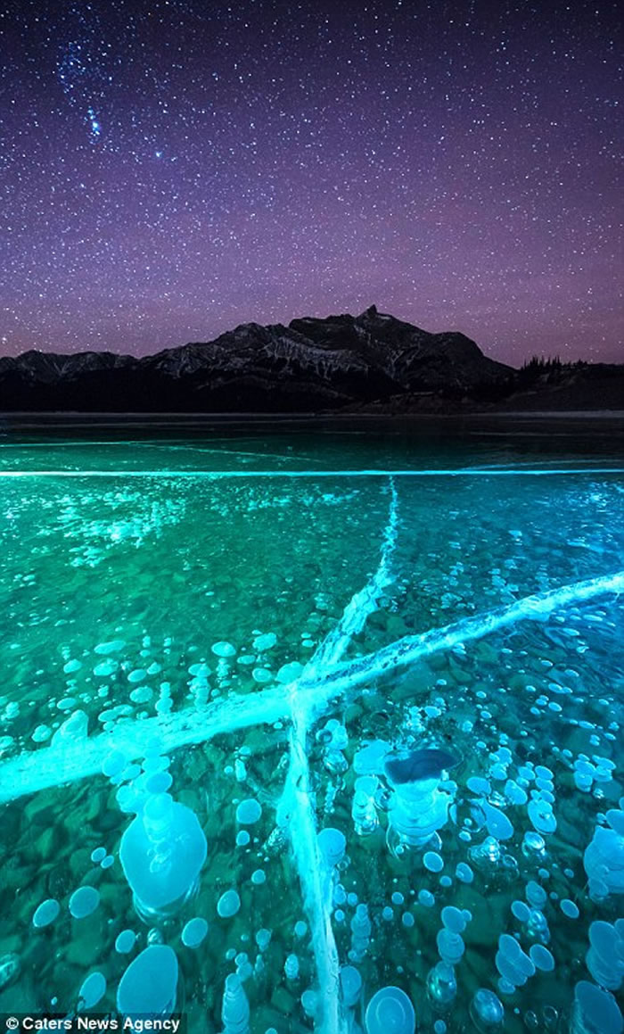 加拿大落基山脉亚伯拉罕湖北极光照射在冰气泡上很壮观