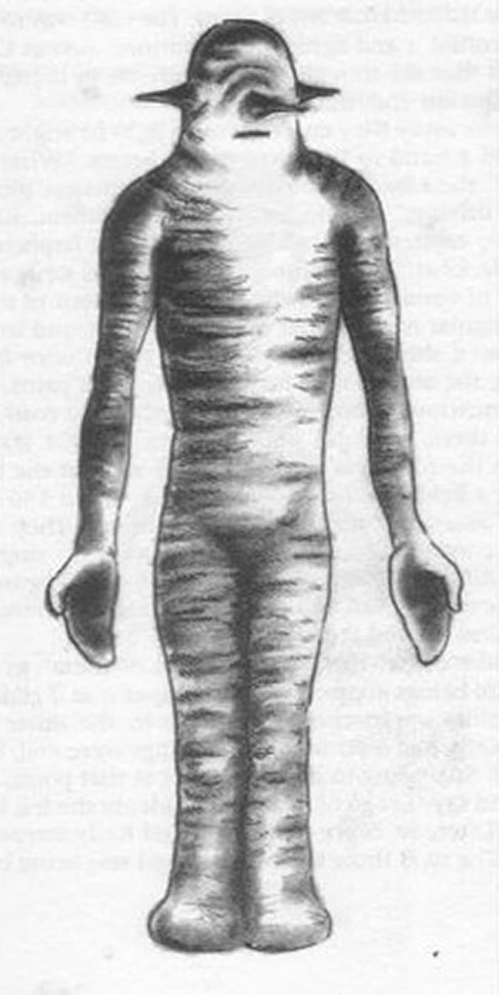 帕克与希克森1973年遇到的外星人有着胡萝卜外型的鼻子，手则长得像蟹爪。