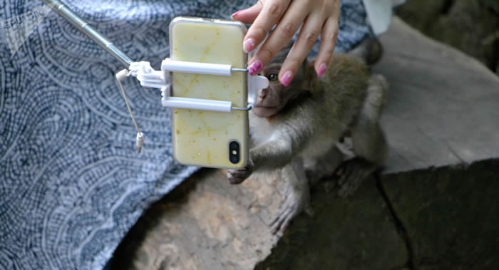 哥斯达黎加环保部发起禁止与野生动物自拍的运动