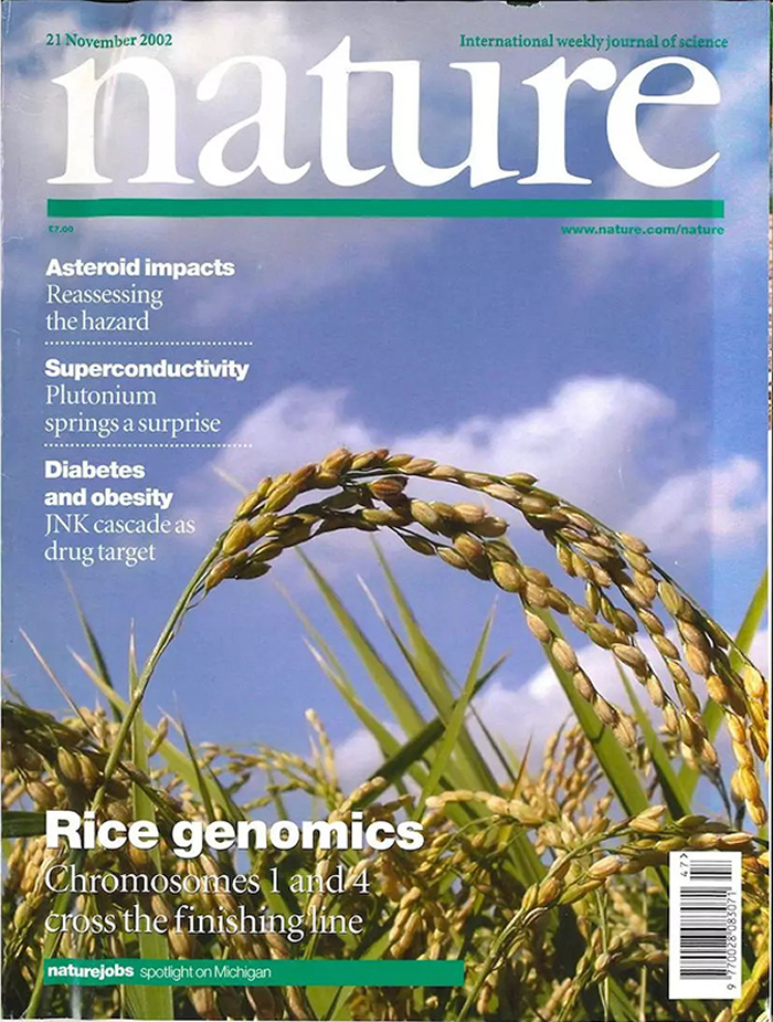Qi Feng et al. Sequence and analysis of rice chromosome 4. Nature 420,  316–320