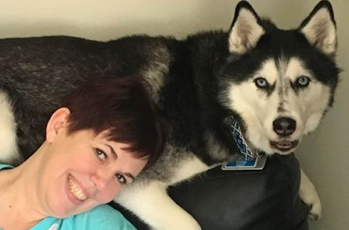 美国威斯康辛州雪橇犬Sierra闻出主人卵巢癌四次