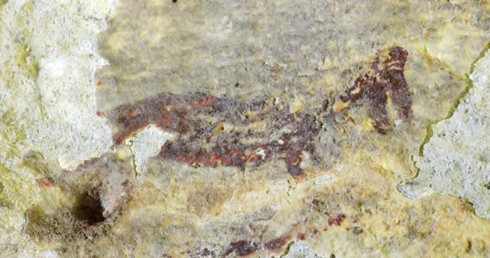 印尼苏拉威西岛洞穴发现4.4万年前叙述故事的壁画 半人半兽的生物手持矛猎杀动物