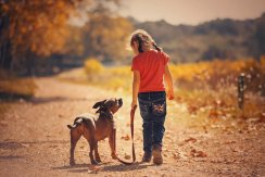 童年起就有狗陪伴可能降低成年后罹患精神分裂症的几率