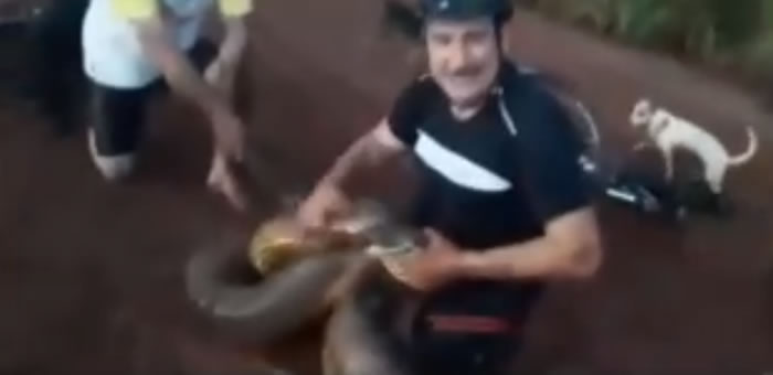 巴西圣保罗州男子为救他的狗狗与四米长水蟒进行了20分钟的搏斗