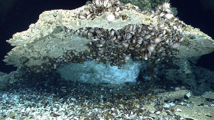在墨西哥湾深处的海床下，藏着富含甲烷、像冰一样的甲烷水合物（methane hydrate）。 PHOTOGRAPH COURTESY NOAA OKEANOS