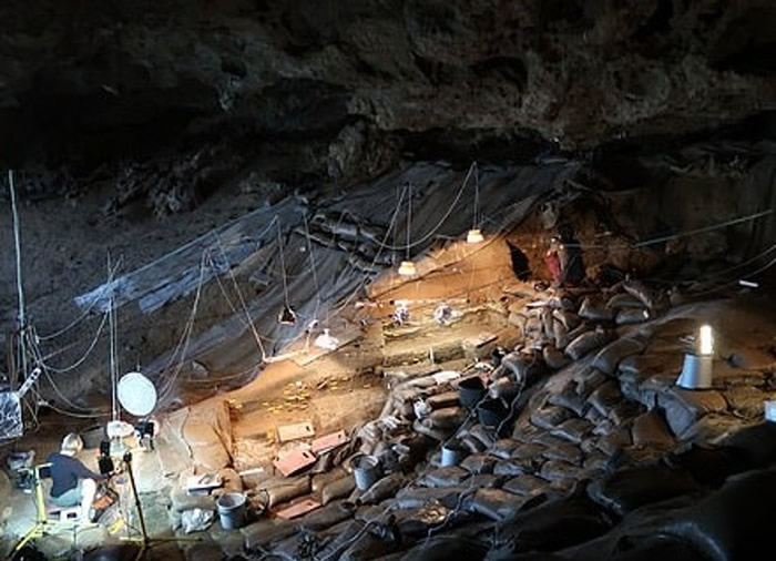 烧剩的根茎于南非洞穴发现。
