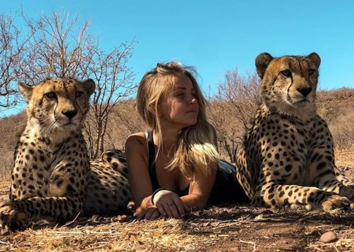 南非女子Kristen Kerr自幼在猛兽群长大 敢与美洲虎拥眠