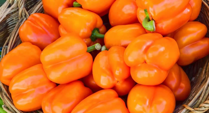 类胡萝卜素有助改善皮肤状态 番茄所含的番茄红素比“任何昂贵面霜”都更有益