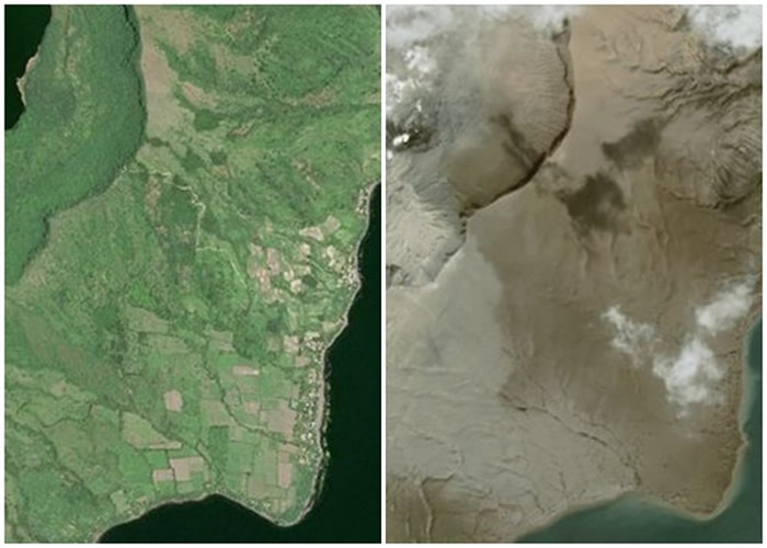 原本翠绿的地块已被火山灰覆盖。