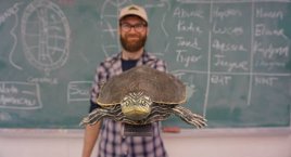 加拿大生物学家为濒临灭绝的乌龟“地图龟”做出了性爱玩偶 研究雄性乌龟性行为