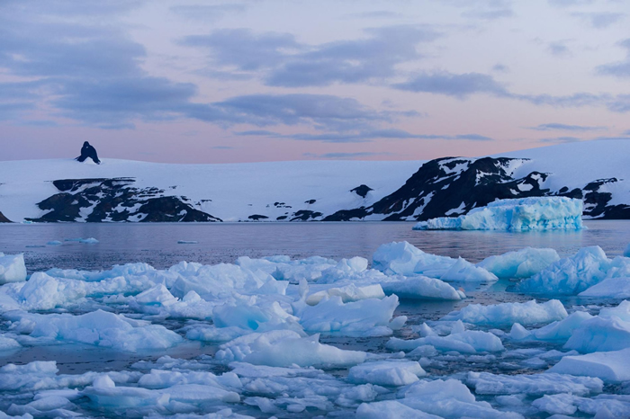 南极半岛今夏已出现了气温飙高的天气状况。 上图为乔治王岛。 PHOTOGRAPH BY ALESSANDRO DAHAN, GETTY IMAGES