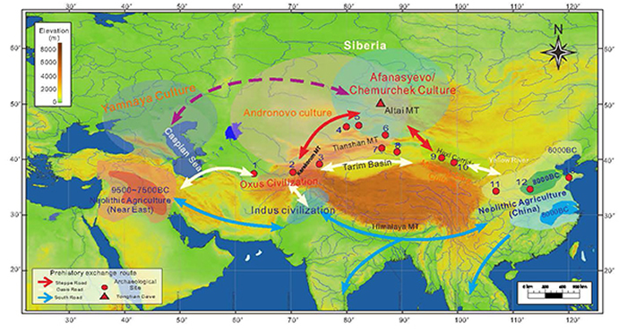 欧亚大陆早期作物及文明交流路径，文化区及研究点位置（周新郢供图）