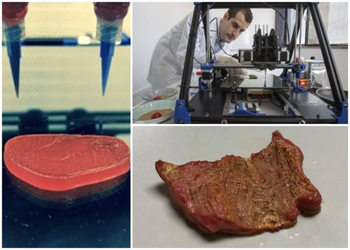 西班牙初创企业制造出3D打印的纯素牛扒