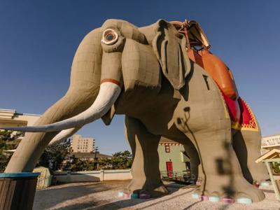 美国新泽西州马盖特城138年历史著名地标“大象露西”将开放住宿服务