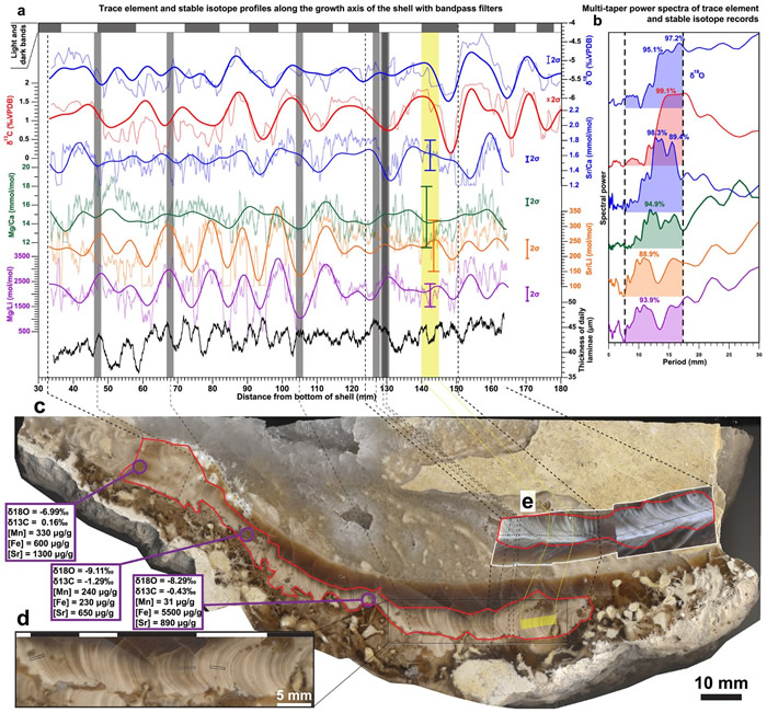 借助软体动物化石 古生物学家精确地测量出恐龙时代地球自转和公转一周的时间
