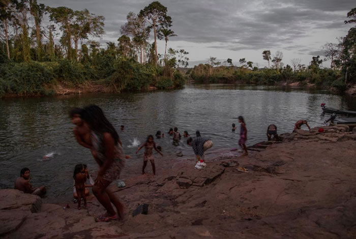 生活在亚马逊地区中部欣古河流域的卡亚波族，在现代文明社会的影响之下，正努力保留自己的文化传统。 最近卡亚波族的几个领袖与淘金者达成协议，让他们在COVID-19