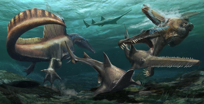 超过9500万年前，摩洛哥曾经覆盖着广阔的河川系统，图中两只埃及棘龙在这片水域中猎捕帆锯鳐（Onchopristis），一种史前锯鳐。 新发现的化石说明这种恐龙