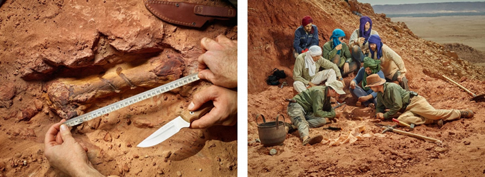 （左）一块棘龙的脚骨从摩洛哥挖掘现场的红色砂岩探出头来。 此地出土的恐龙化石属北非曾经发现过最完整的白垩纪兽脚类恐龙。 （右）核心研究团队围绕着一块新发现的棘龙