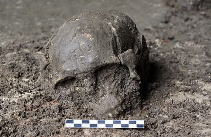 福建奇和洞约8400年前的2号个体头骨。