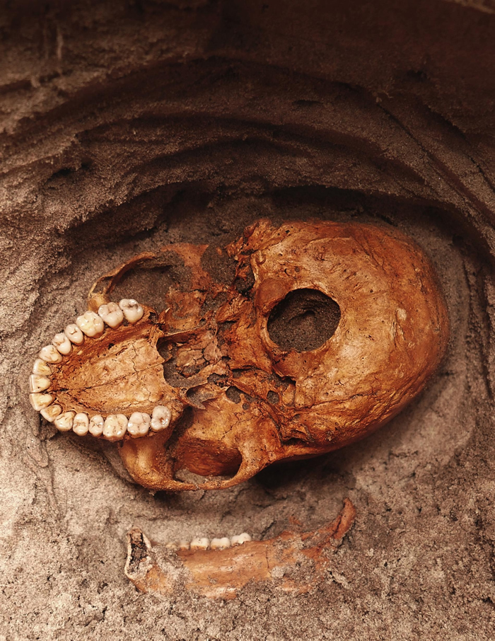 一颗人类颅骨从坦桑尼亚潘加尼河畔的灰色砂土中向外窥视，这座遗址曾经是早期史瓦希利（Swahili）渔村。 大约1000年前，海啸突然摧毁了这座村庄，造成许多居民