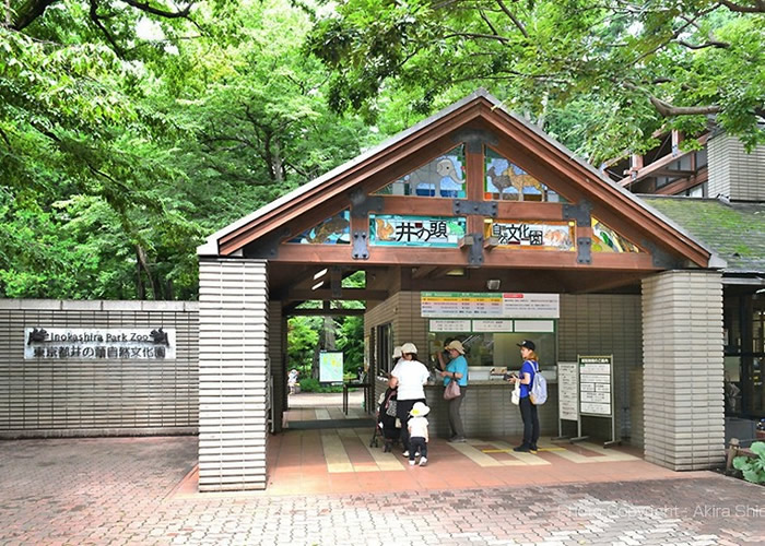 日本东京井之头自然文化园园长致谢 小松鼠爬肩捣乱