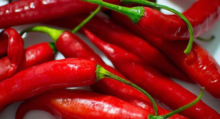 俄罗斯医生介绍能减轻疼痛的食物：辣椒和咖啡