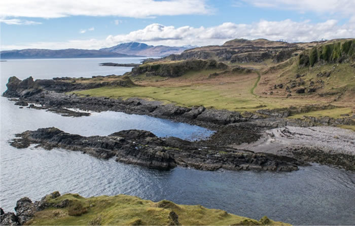 苏格兰小岛Kerrera发现世界上最古老的千足虫化石 距今约4.25亿年